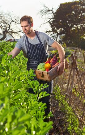 Farmer holding basket of fresh vegetables in garden